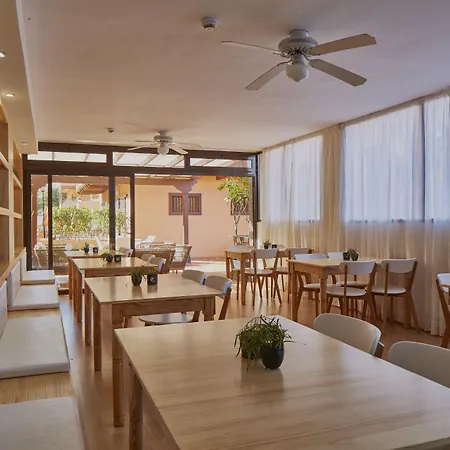 Coral Alisios Los Cristianos (Tenerife)